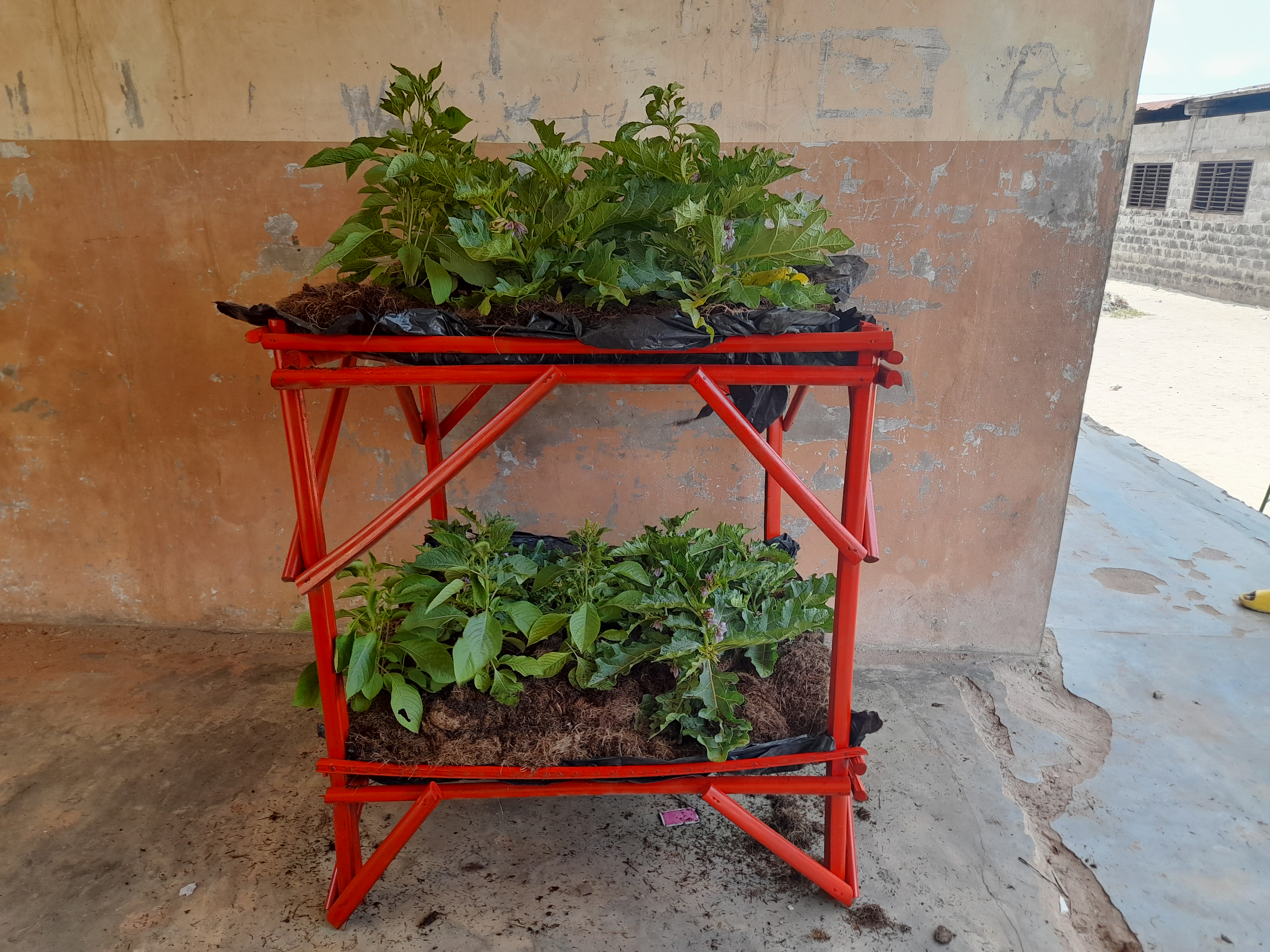 Mini serre